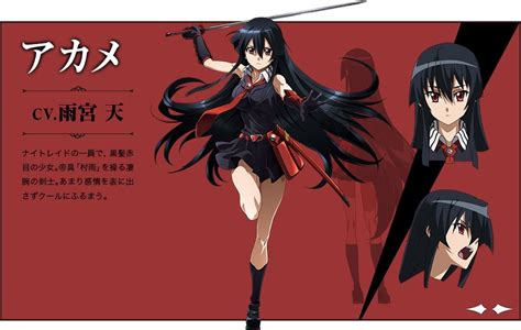 Image Akame Ga Kill Character Designs Akame Animevice Wiki