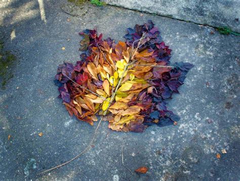 Art From Andy Goldsworthy