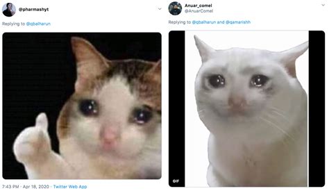 42 Watery Eyes Crying Cat Memes