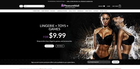 — ecommerce store sold on flippa sex toy store over 14000 products drop ship
