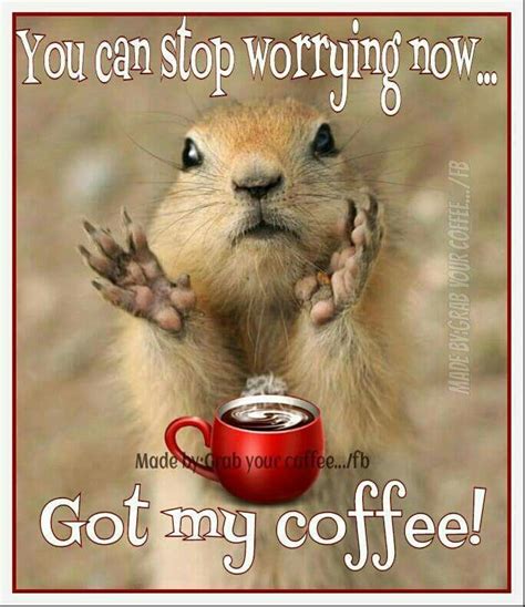 Lol Morning Coffee Funny Funny Good Morning Quotes Morning Humor