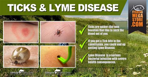 Tick Prevention And Lyme Disease Fishingmegastore Blog