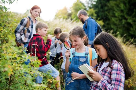 Boost Biodiversity In Your School Grounds With Our New Surveys