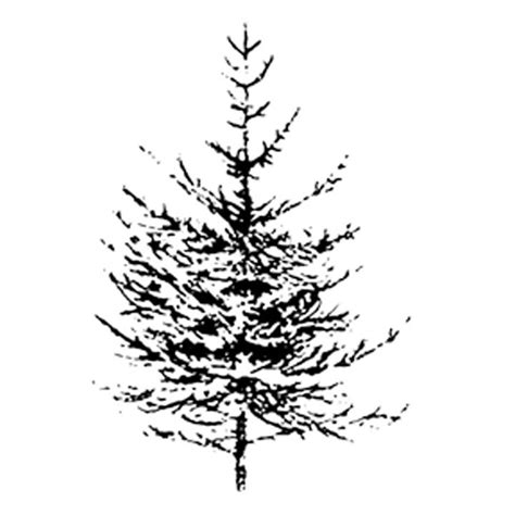 Ho103d Pine Tree Small