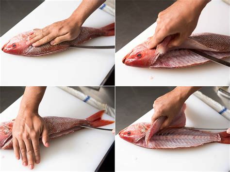 How To Fillet A Fish