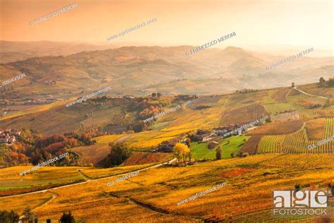 Elevated View Of Valleys And Distant Autumn Vineyards Langhe Piedmont