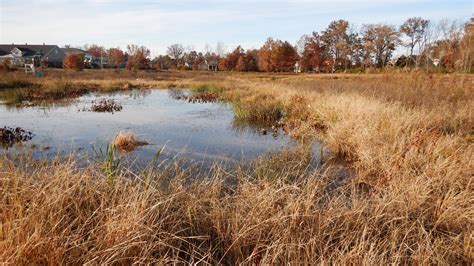 Seldom Seen Park In Delaware County Offers Impressive Wetlands