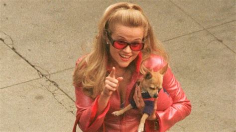 Legally Blonde Turns 20 Five Fascinating Facts Abc Audio Digital Syndication