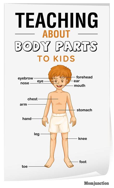 Teaching Body Parts To Children