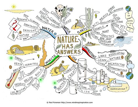 Nature Has Answers Creative Mind Map Creative Thinking Design Thinking Mind Map Art Mind