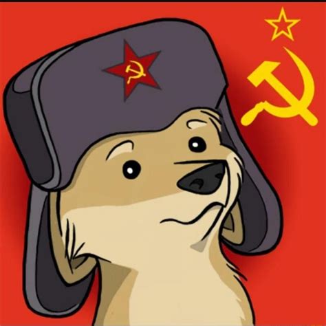 Cartoon Comrade Comrade Doggo Know Your Meme Bape Shark Wallpaper
