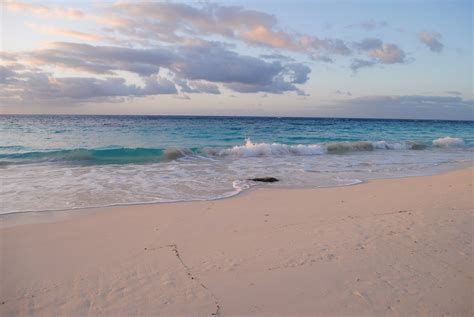 Trova alloggi unici per soggiornare con host del posto in 191 paesi. Elbow Beach, Bermuda
