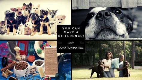 Donate Humane Society Of Skagit Valley Hssv