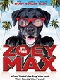 Zoey to the Max Pictures - Rotten Tomatoes