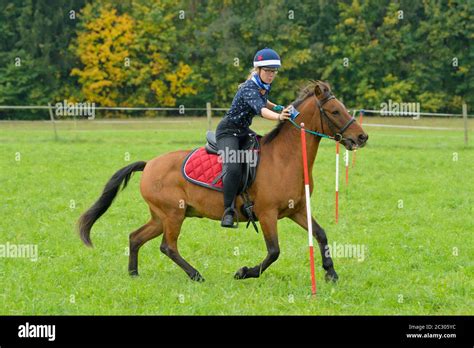 Mounted Games Hi Res Stock Photography And Images Alamy