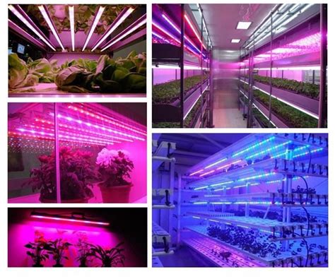 Maybe you would like to learn more about one of these? LED Strip Plant Grow Lamp for Seedlings Greenhouse ...