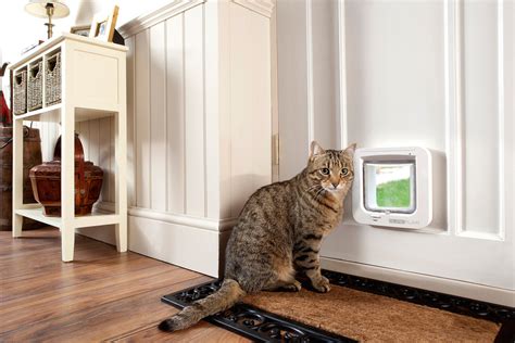 Starters movers flyers ket pet. Check out this smart pet door that you control via your ...