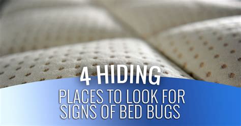 Bed Bug Exterminator Mondovi Where To Look For Signs Of Bed Bugs