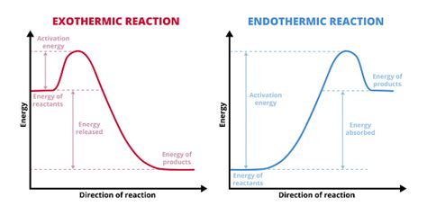 Vector Graphs Or Charts Of Endothermic And Exothermic Reactions