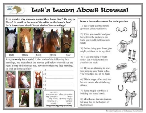 Lets Learn About Horses Activity Sheet Kentucky Horse Council Inc