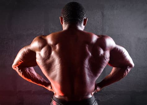 How To Build A Bigger Back From Top To Bottom Fitness Volt