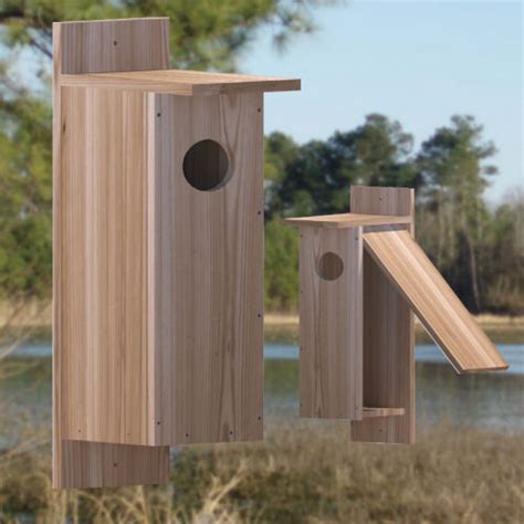 Answer 10 years ago what's thisgoogling thing? nestbox-plans-for-large-birds