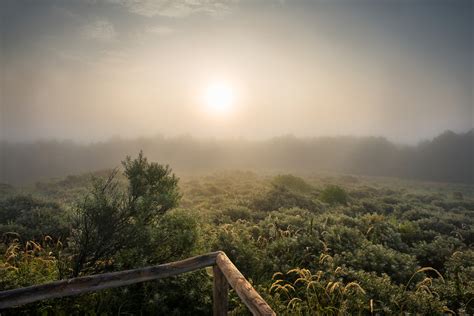 Misty Morning Sun Stan Schaap Photography