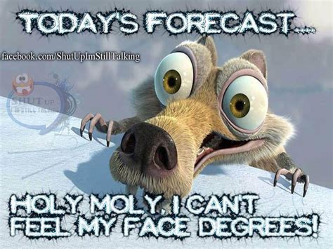Today S Forecast Holy Moly I Can T Feel My Face Degrees Cold Weather Funny Stay Warm