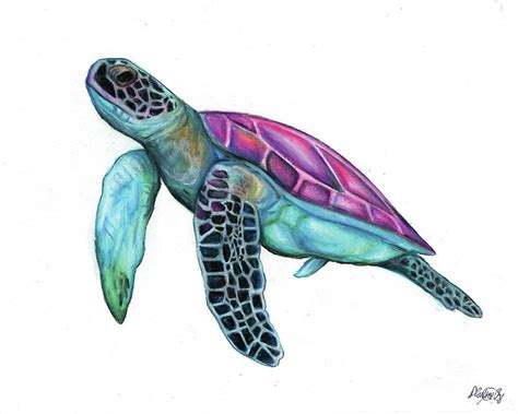 Cool Sea Turtle Drawings