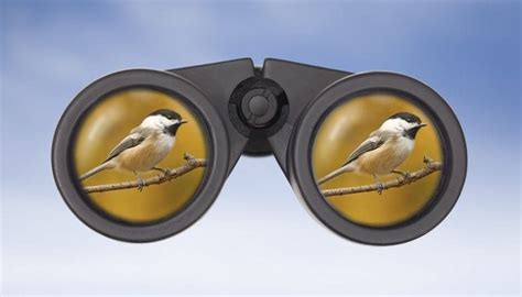 The 14 Best Birding Binoculars 🦅 2021 Reviews Outside Pursuits