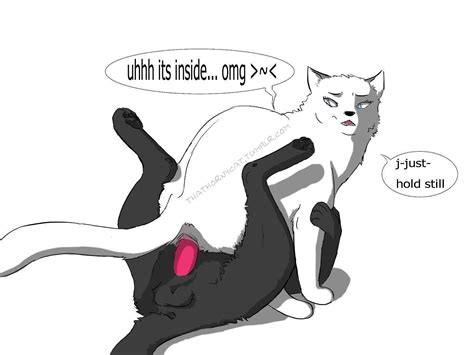 Rule 34 Balls Cowgirl Position Dialogue Duo English Text Feline Female Feral Feral On Feral