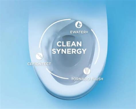 Both are 1.28 gpf toilets. Toto Carolina II WASHLET Toilet + S300e (Self-Cleansing Seat)