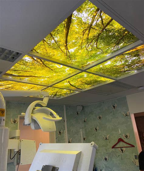 Sky Ceiling Sky Ceiling Tiles And Led Sky Panels Prosky Panels®
