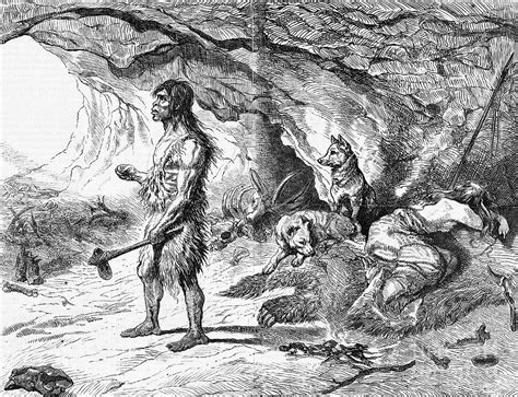 Illustration Of Cave Dwellers By Bettmann
