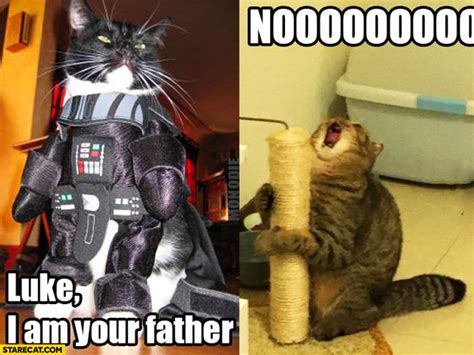 Luke I’m Your Father Nooo Cats