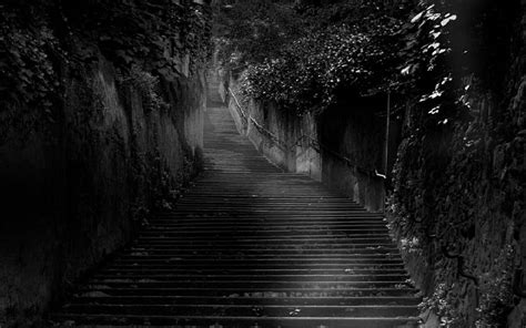 1080p Free Download Dark Path Steps Gothic Plant Wall Hd