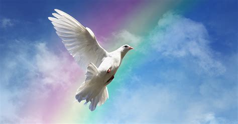 Will the Dove Remain? | Inspiration Ministries