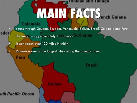 10 Facts About The Amazon Rainforest