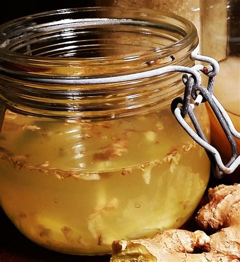 Ginger Bug Closeup Ginger Bug Fermentation Recipes Herbal Recipes