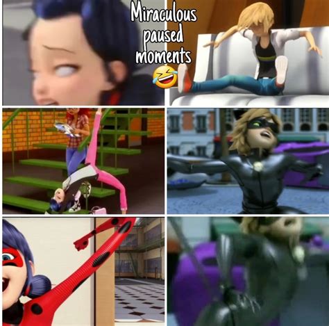 If You Pause Miraculous You Will Get Funny Pictures😅 Fandom