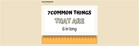 7 Common Things That Are 6 Inches Long Measurementer