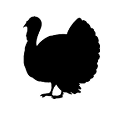 SVG File Download – Turkey – BeaOriginal - Blog