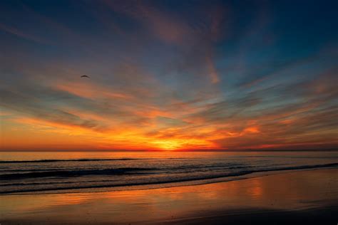 Free Images Sundown Horizon Afterglow Sunset Sea Sunrise Red