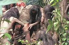 gif cannibal holocaust 1980 tumblr penis gore castration cock animated nsfw ruggero deodato