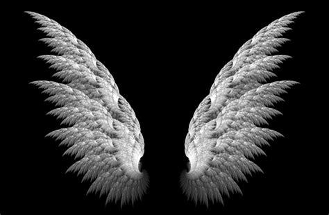 47 Angel Wing Wallpapers Wallpapersafari