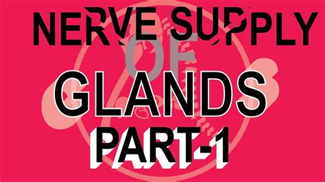 Nerve Supply Of Glands Part 1 Parotid Gland Youtube