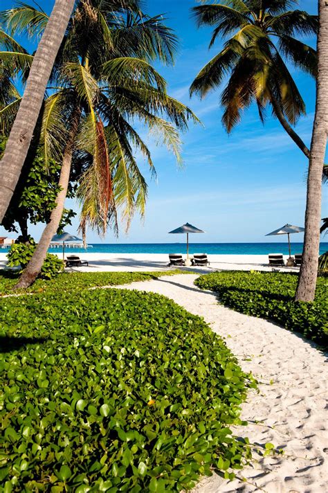 Tropical Beach Resorts Beach Cabana Tropical Garden Design Tropical
