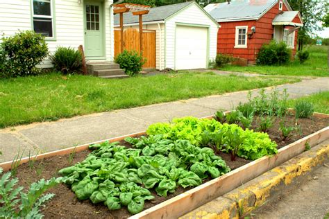 6 Reasons To Grow A Front Yard Vegetable Garden