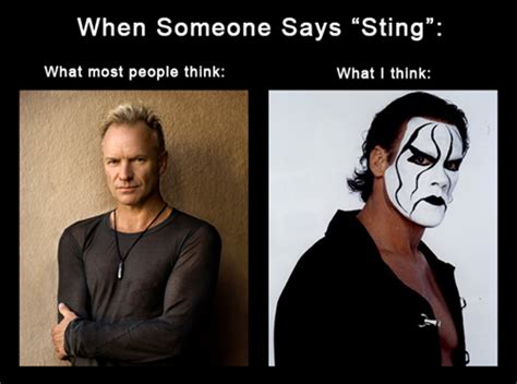 When Someone Says Sting What People Think I Do What I Really Do