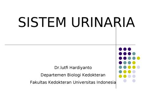 Sistem urogenital merupakan sistem yang terdiri dari sistem urinaria dan sistem genital, yang mana sistem urinaria dibagi menjadi traktus urinaria atas dan bawah. Jurnal Sistem Urinaria : Gambar 8 6 Vesika Urinaria Evelyn ...